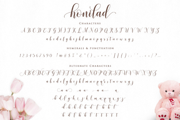 Honilad Script Font Duo