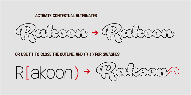 Rough Rakoon Font