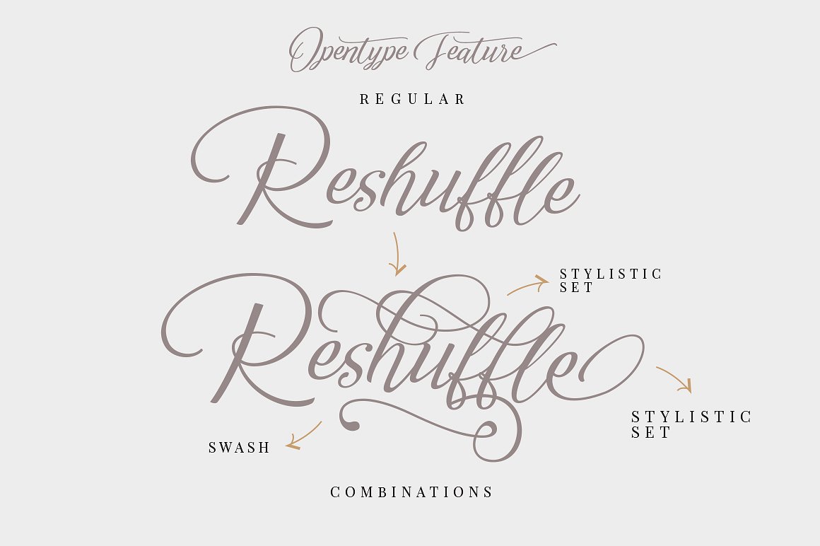 Reshuffle Script Font