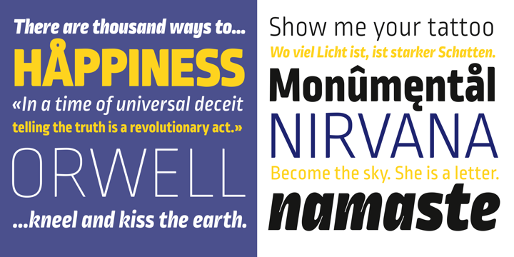 Ropa Mix Pro Font Family