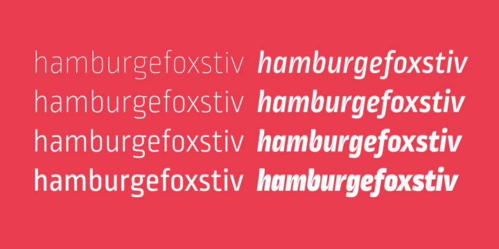 Ropa Mix Pro Font Family