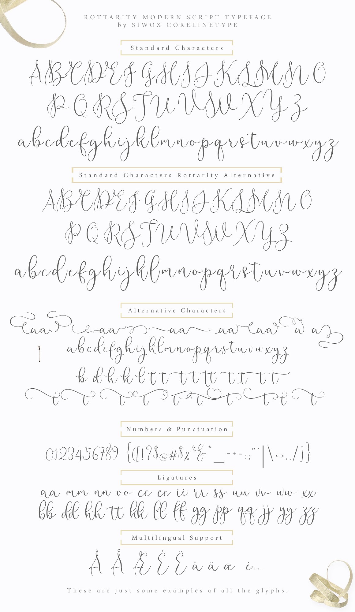 Rottarity Feminine Script Font