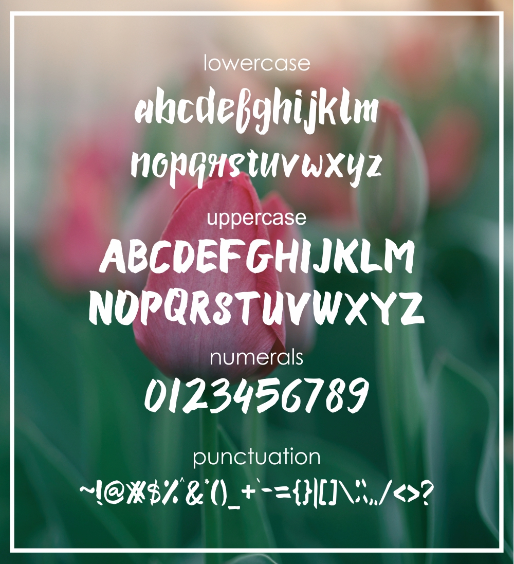 Susan Brush Font