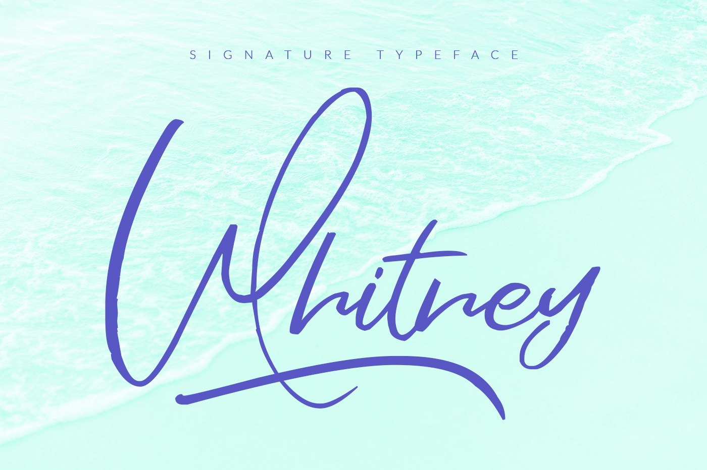 William Kidmon Script Font