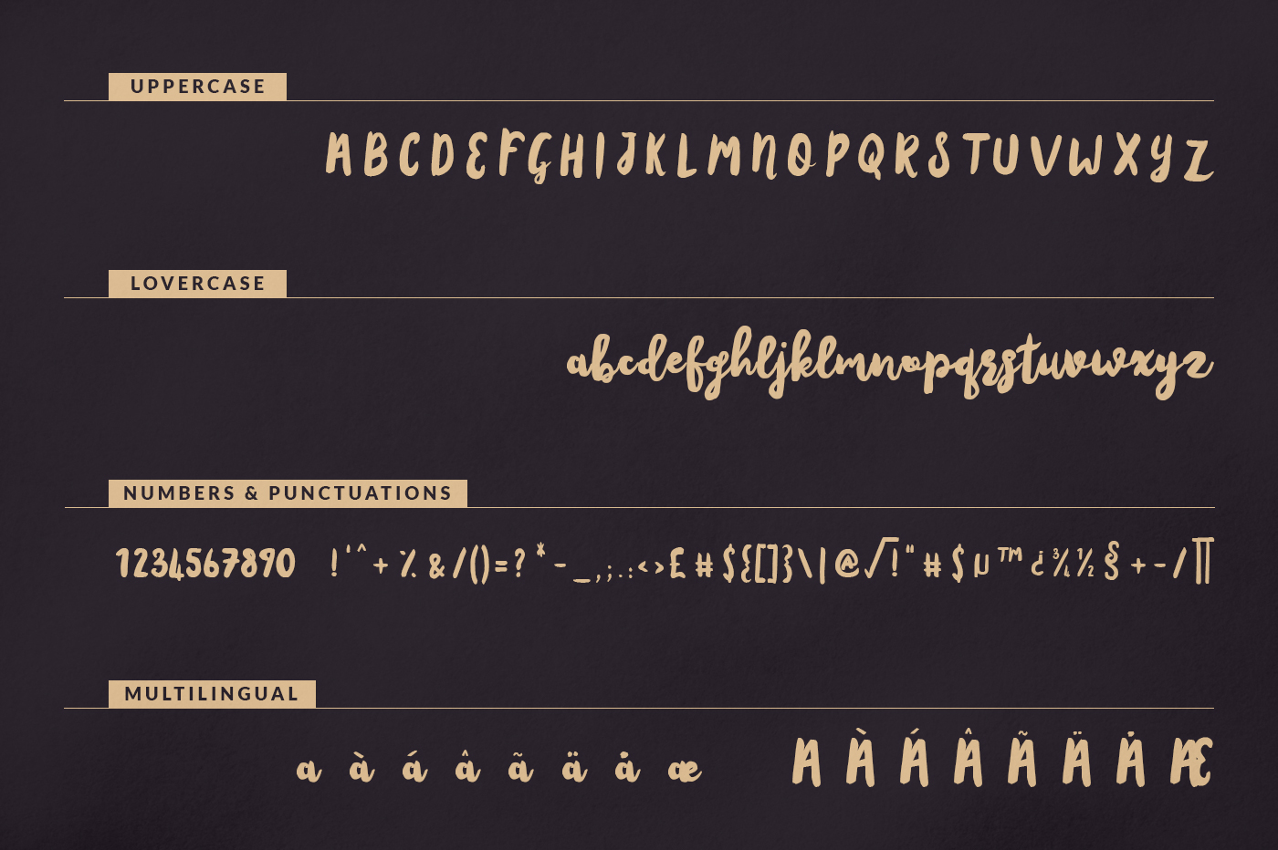 Amsterdam Script Font