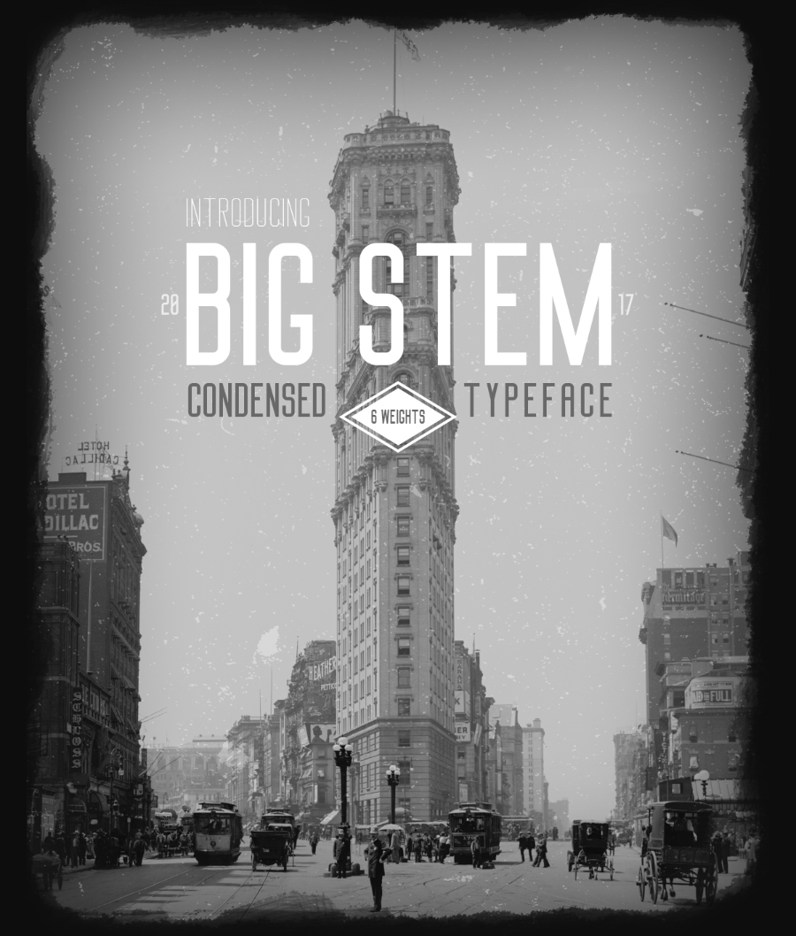 Big Stem Font Family