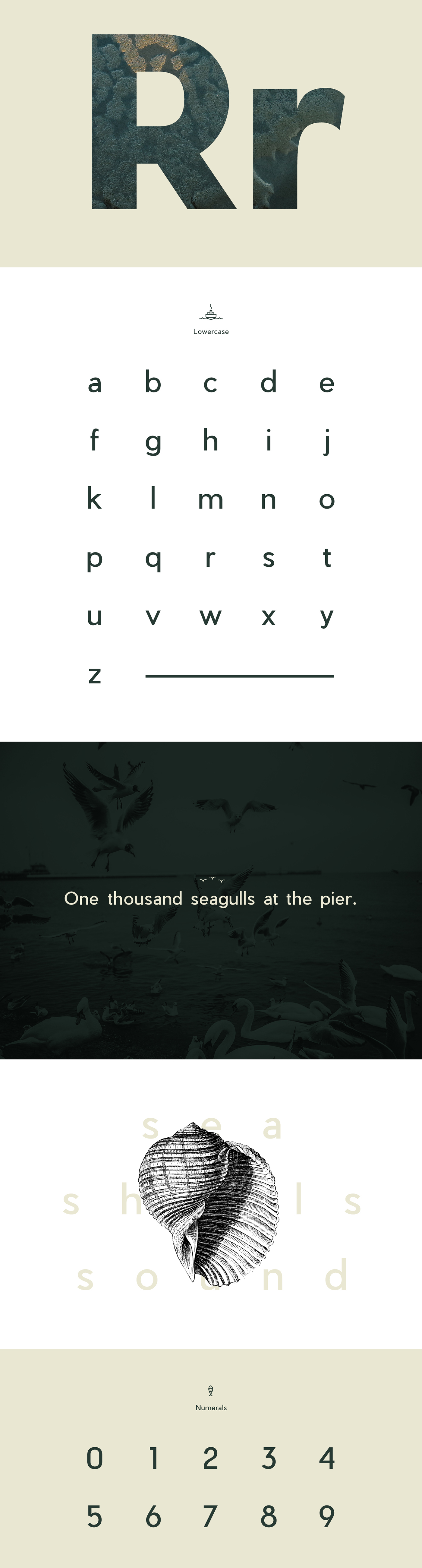 Pier Sans Font Family