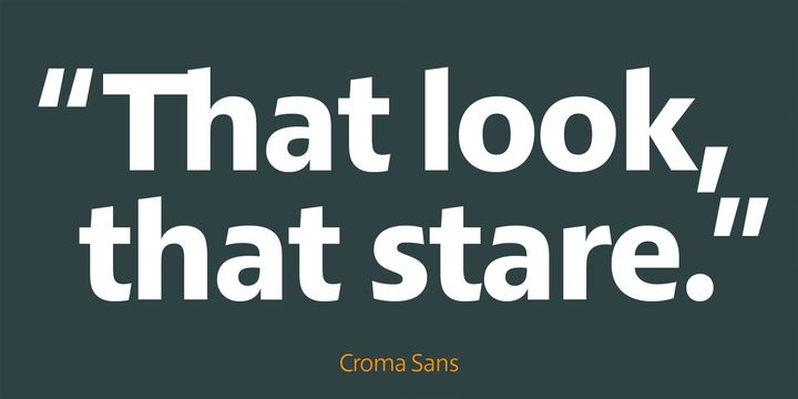 Croma Sans Font Family