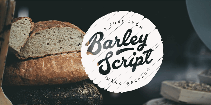 Barley Script Font