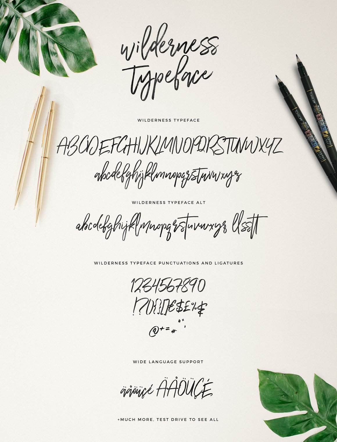 Wilderness Brush Font