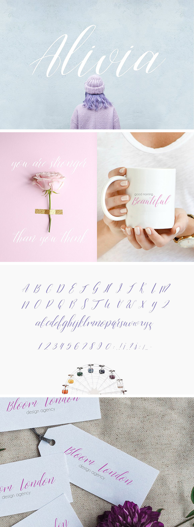 Alivia Script Font