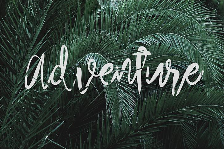 Arthard Script Font