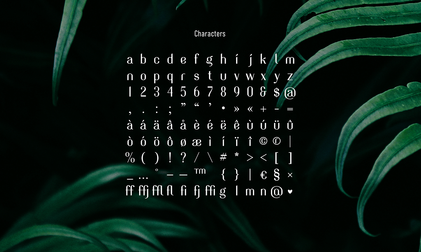 Evergreen Typeface