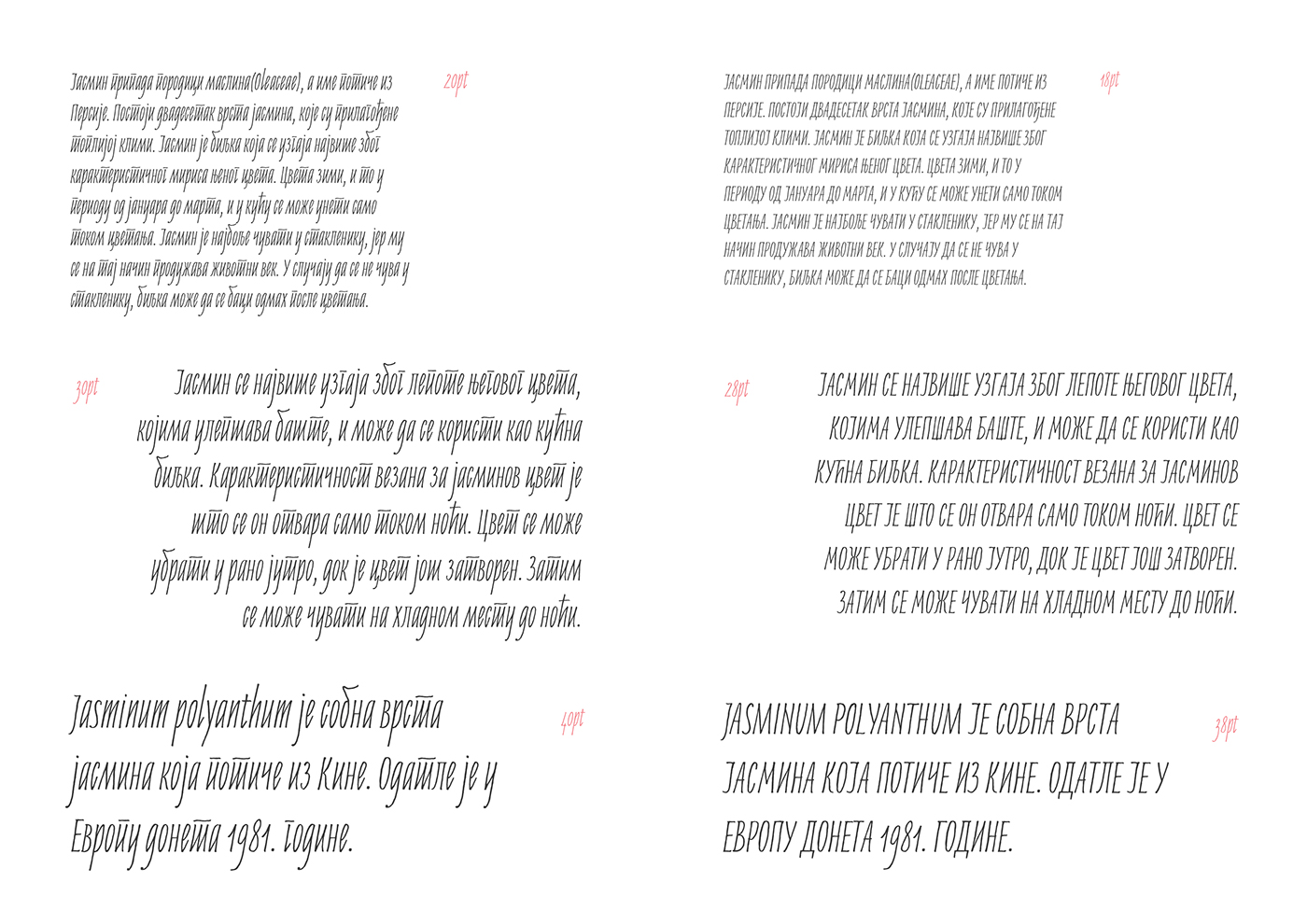 Jasminum Handwriting Font