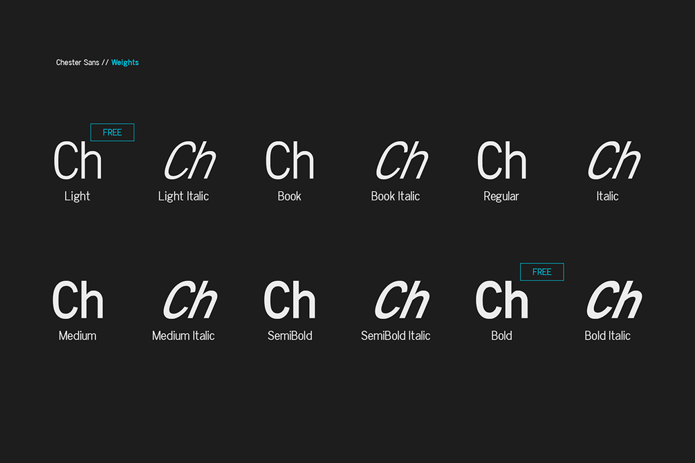 Chester Sans Font Family