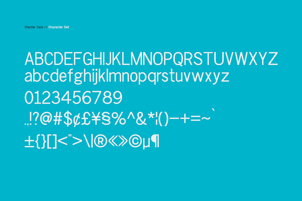 Chester Sans Font Family