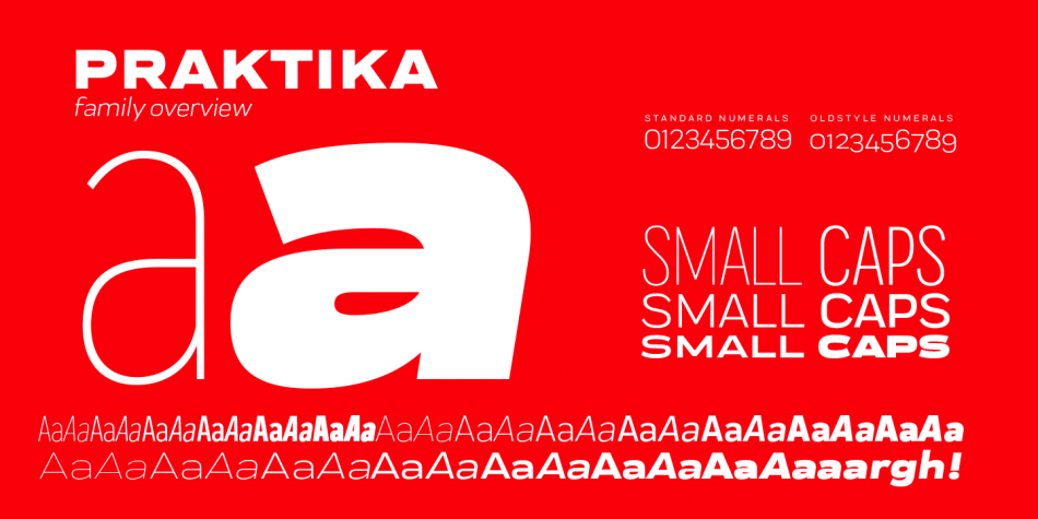 Praktika Font Family