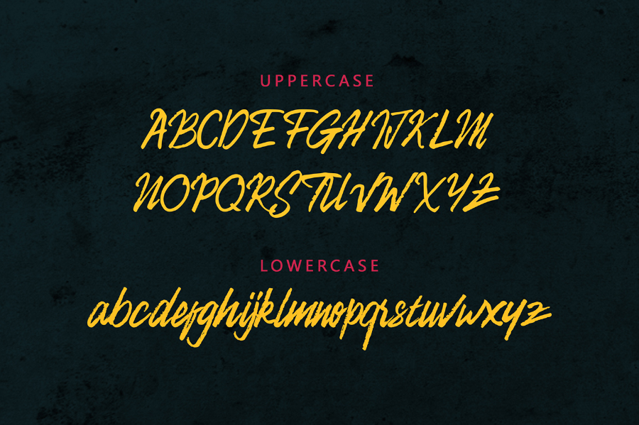 Camellion Brush Font