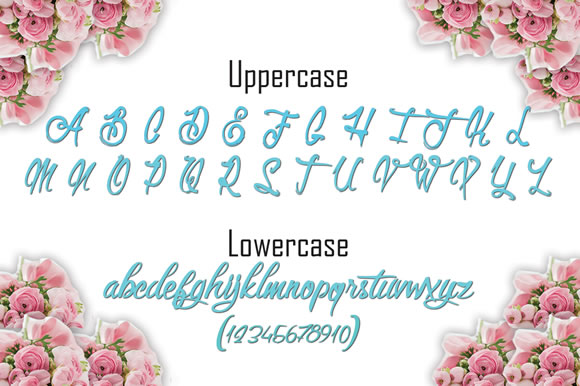 Cinderella Script Font