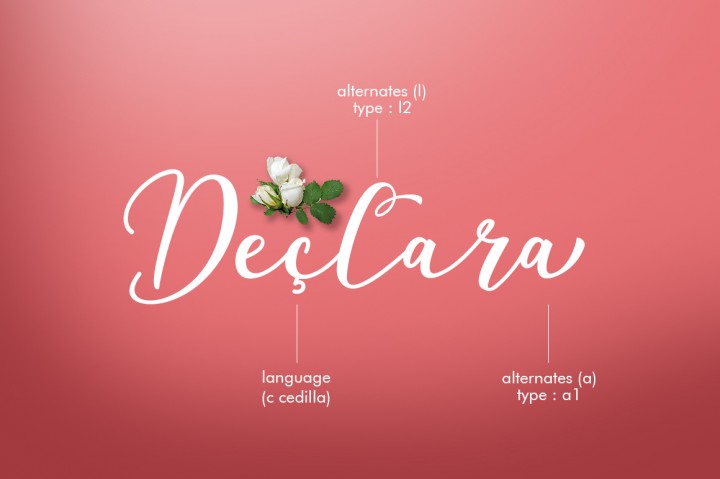 Declara Script Font