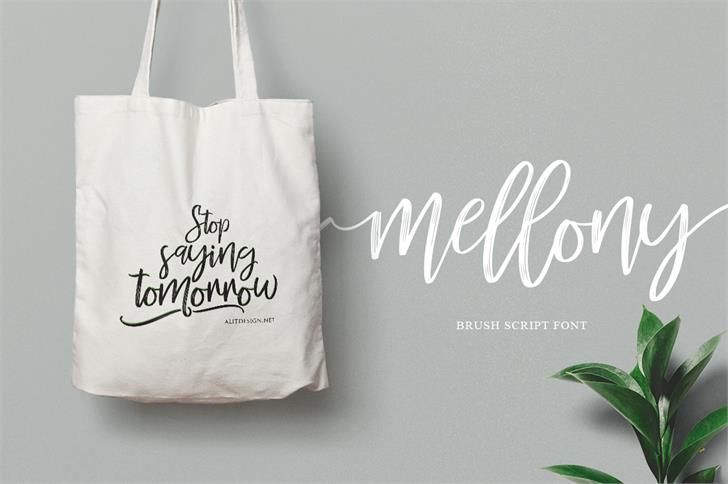 Mellony Brush Font