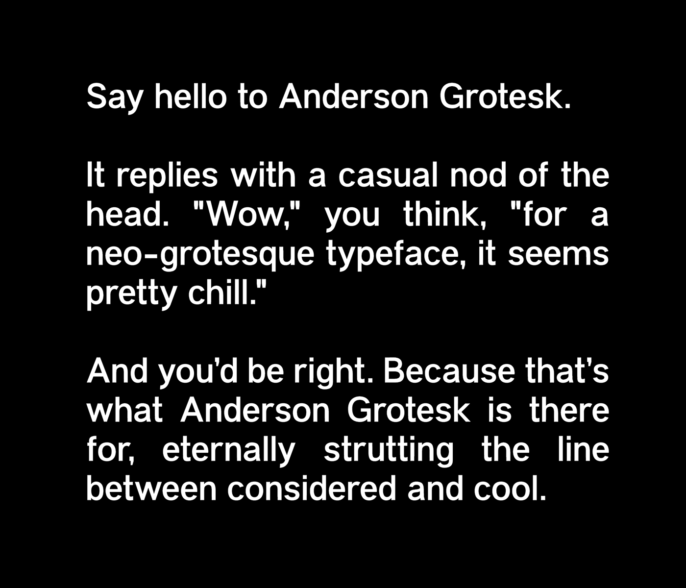 Anderson Grotesk Typeface