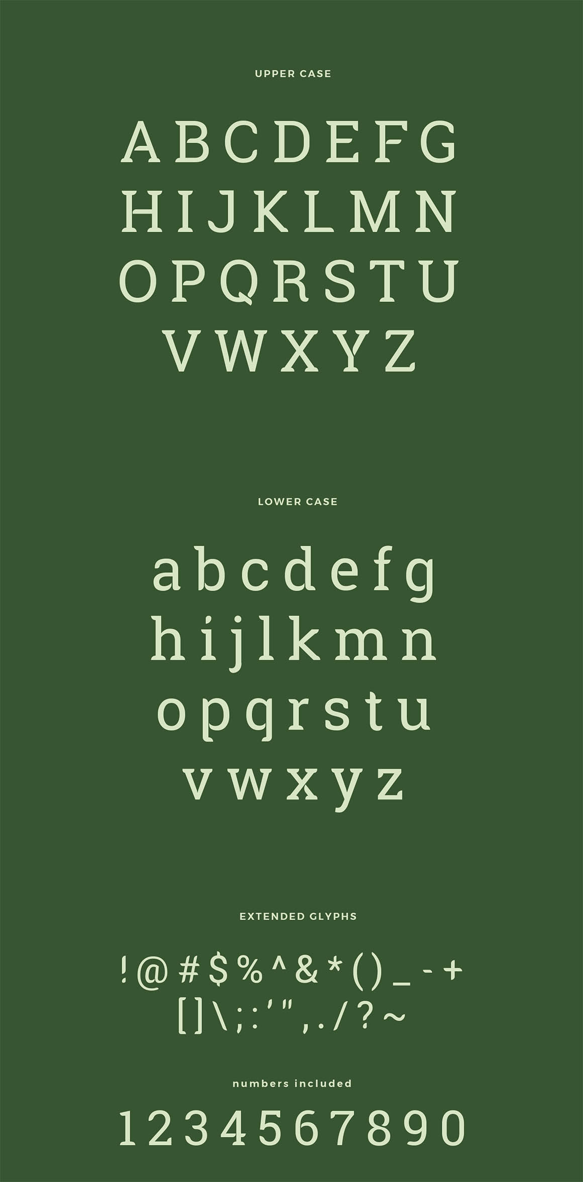 Robika Typeface