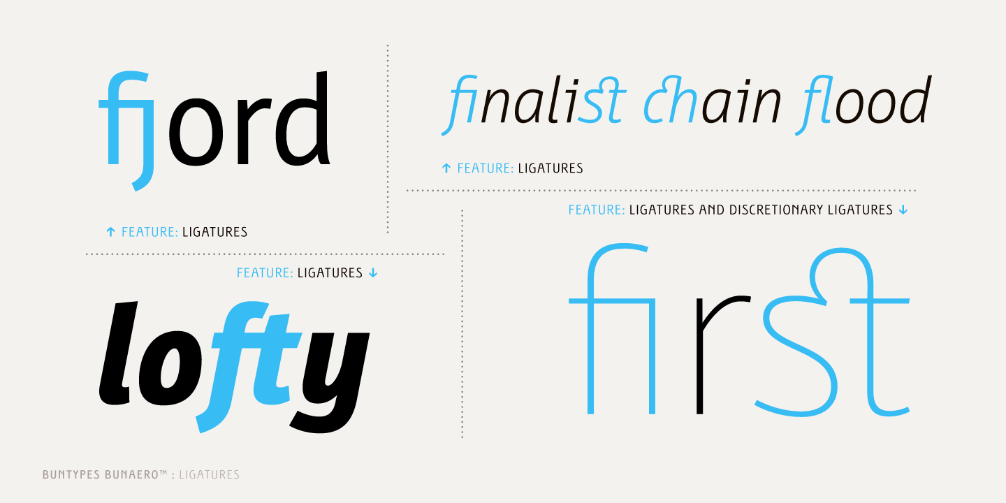 Bunaero Pro™ Font Family