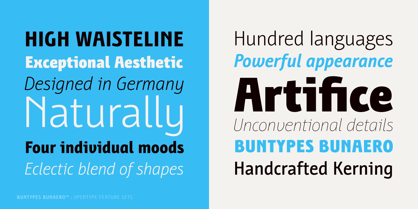 Bunaero Pro™ Font Family