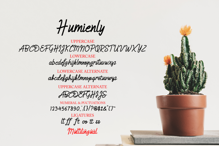 Humienly Script Font