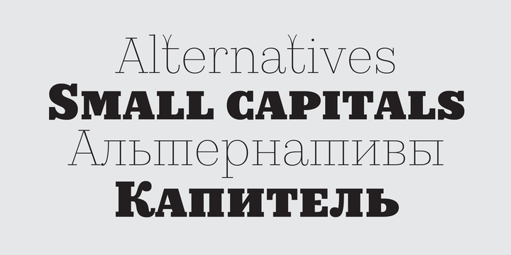 Kazimir Text™ Font Family