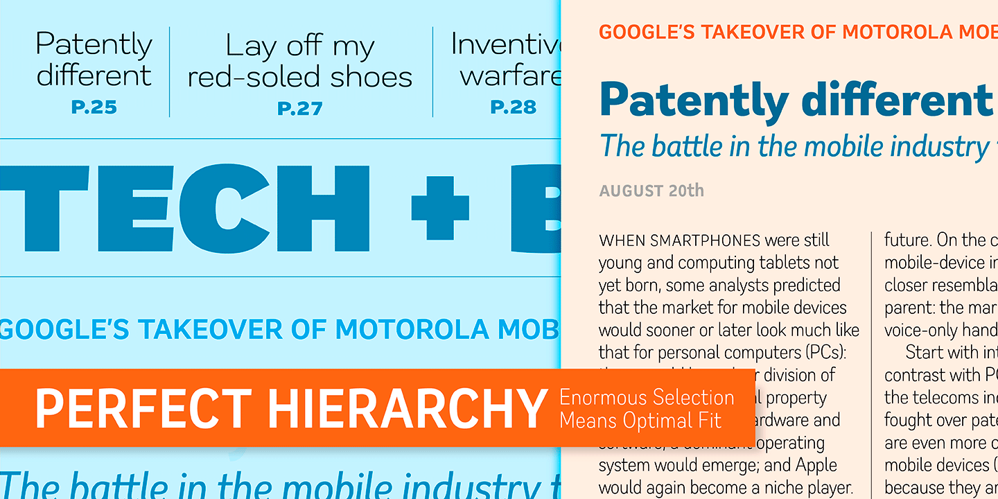 Remora Sans Font Family