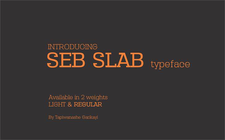 Seb Slab Typeface