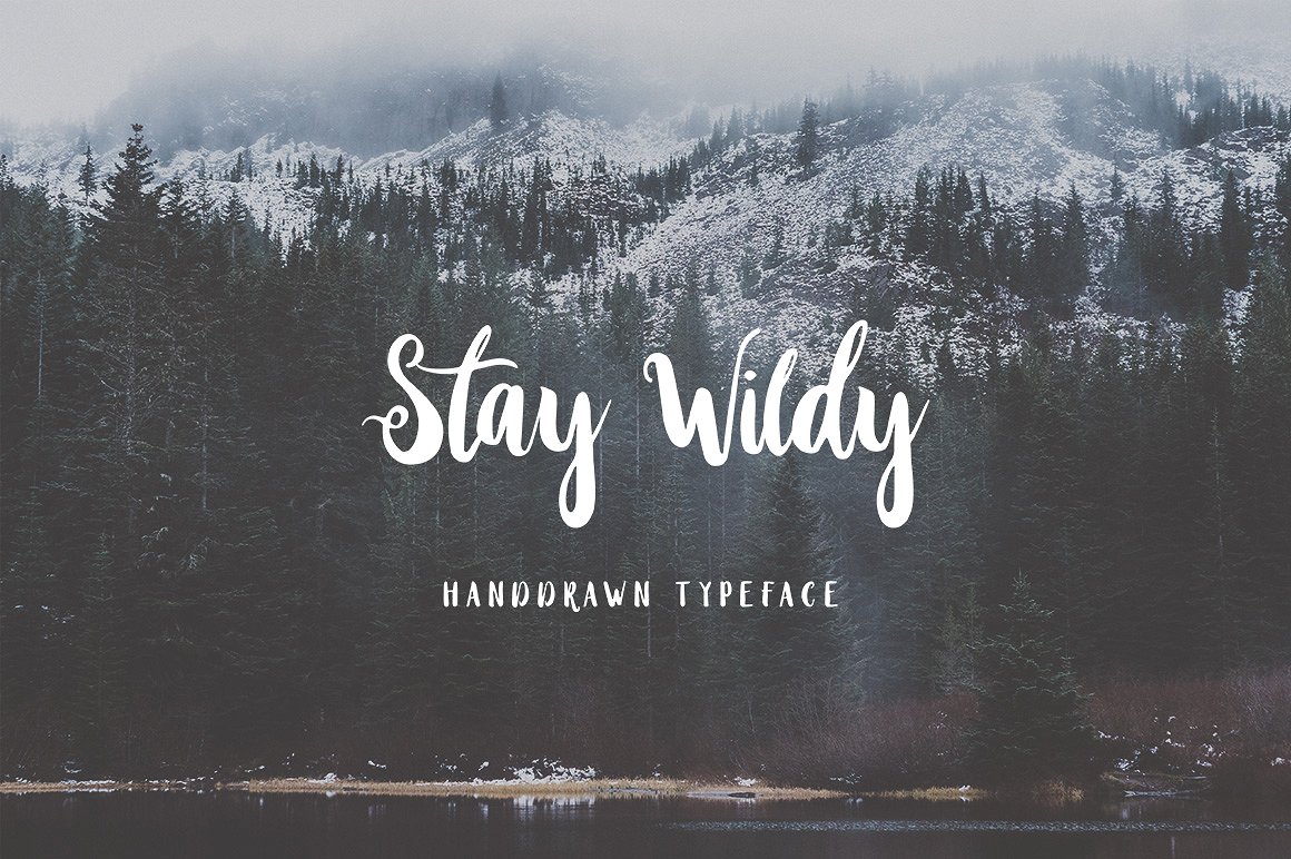 Stay Wildy Script Font