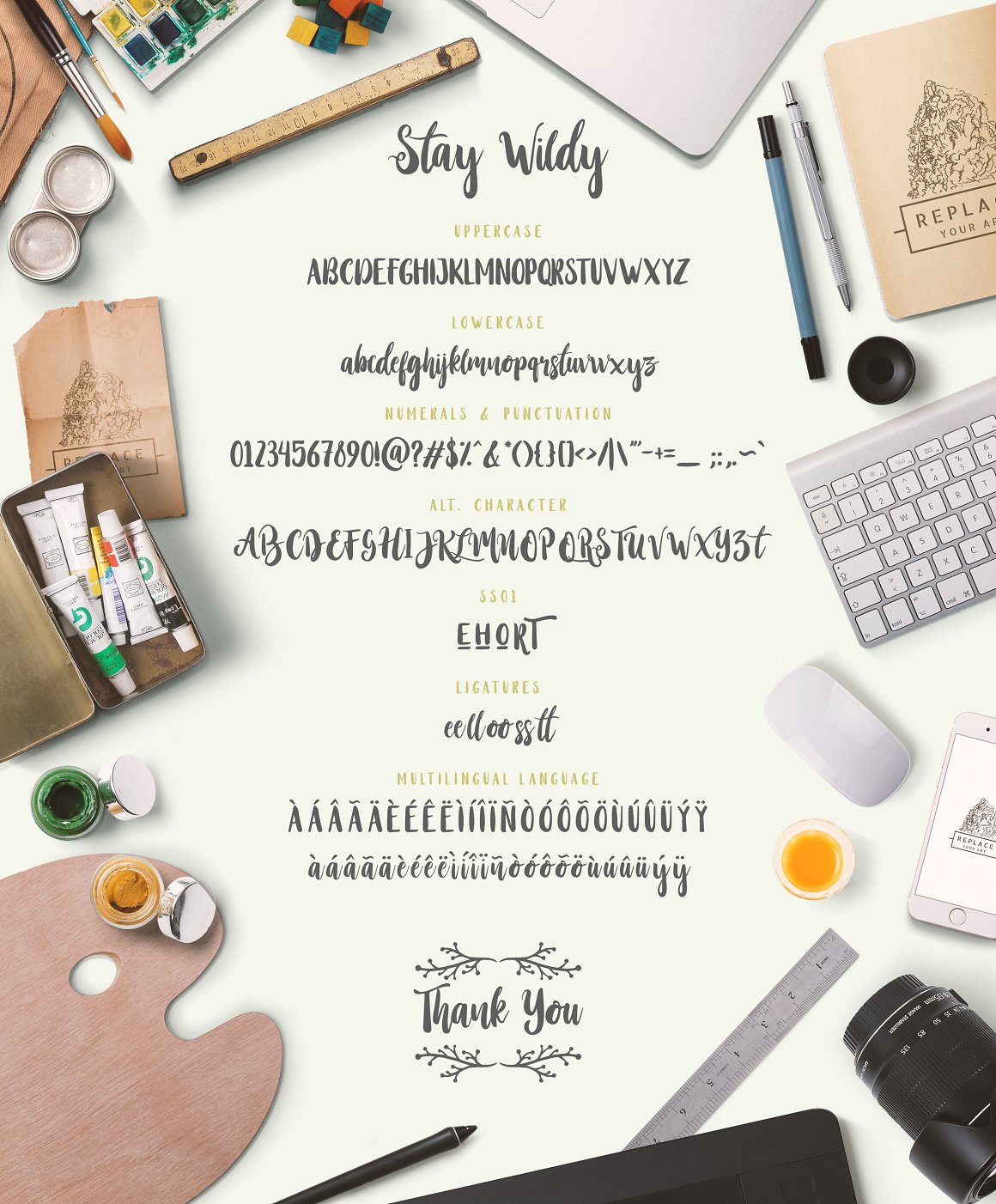 Stay Wildy Script Font