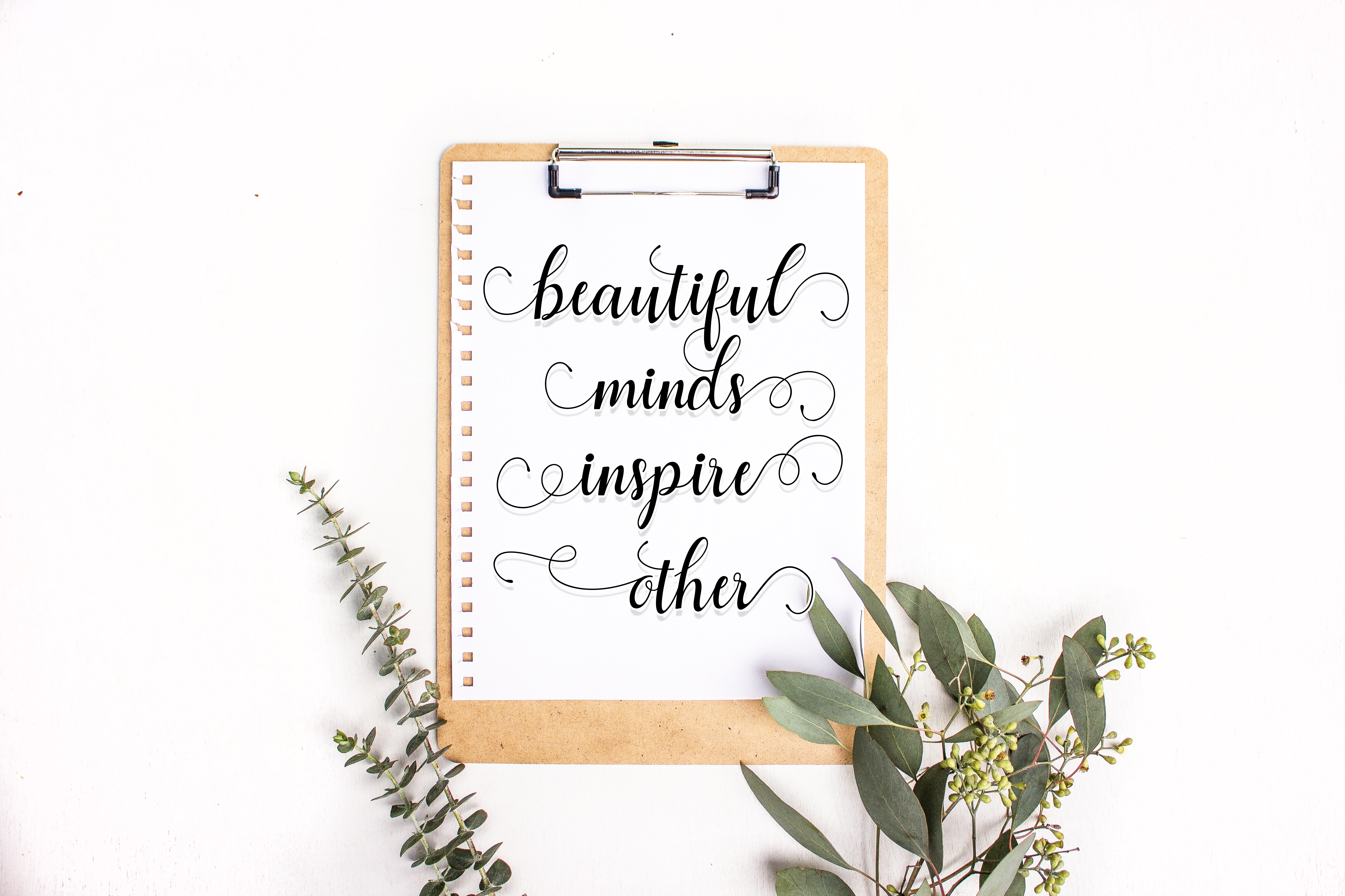 Angelina Script Font