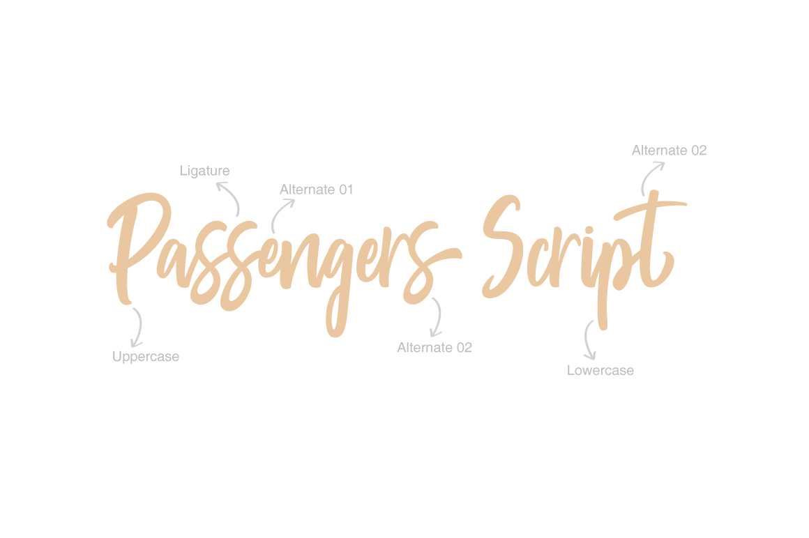 Passengers Script Font