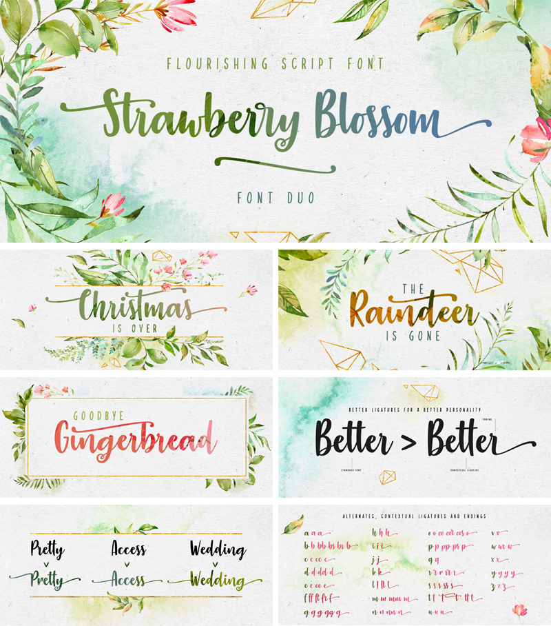 Strawberry Blossom Font