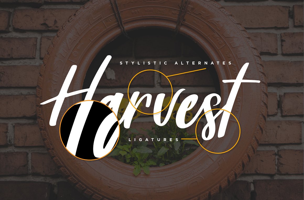 Harvest Barn Script Font