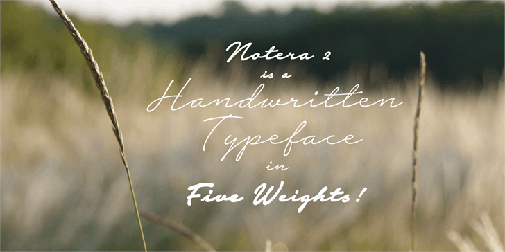 Notera 2 Script Font