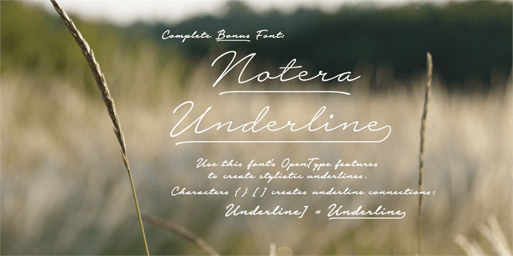 Notera 2 Script Font