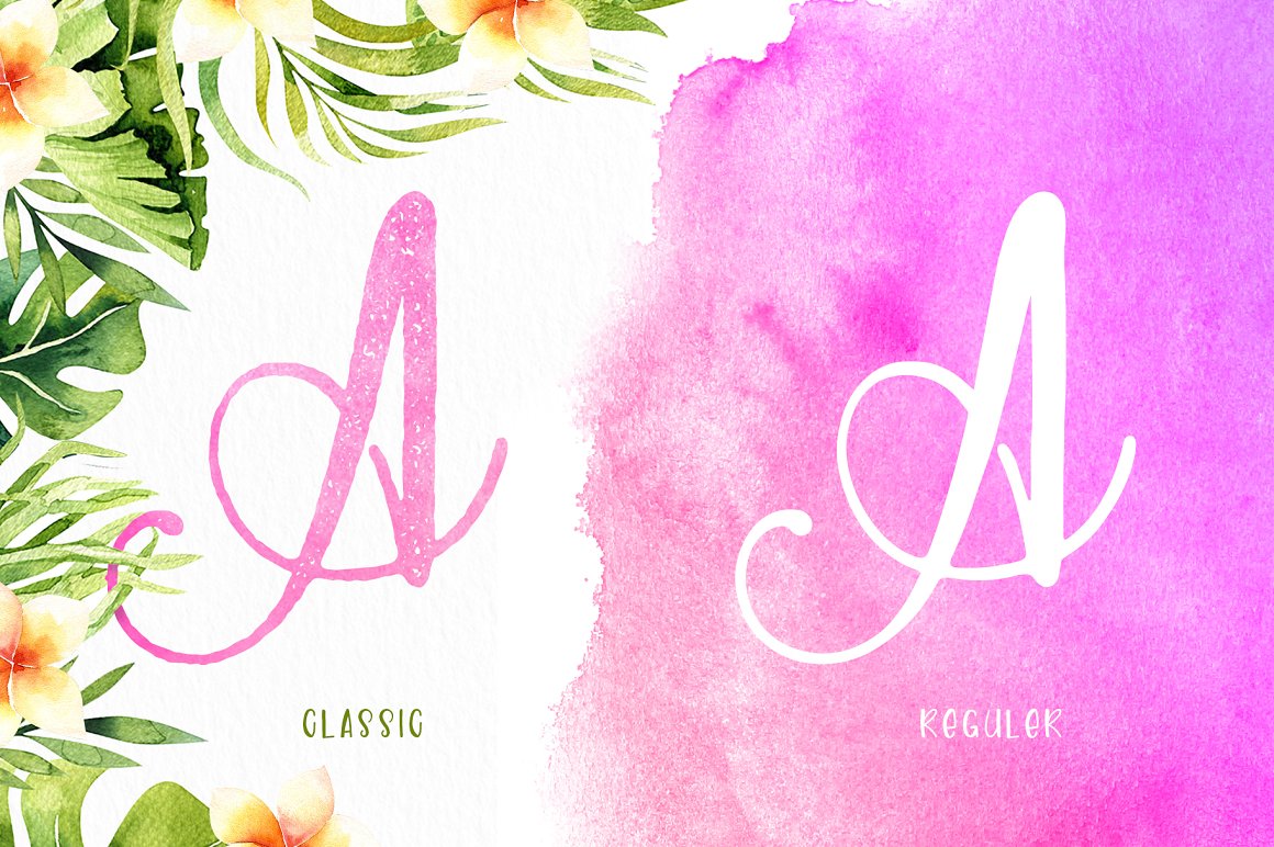 Paradiso Script Font