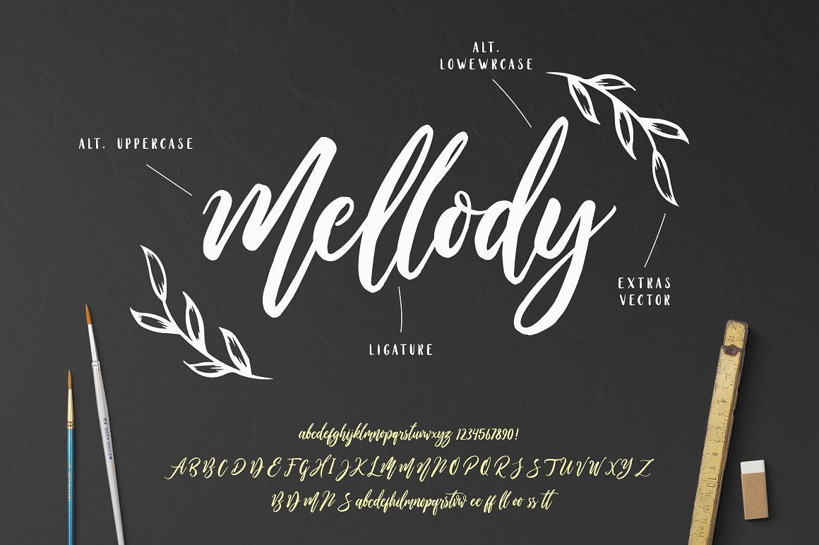 Wild Ones Script Font