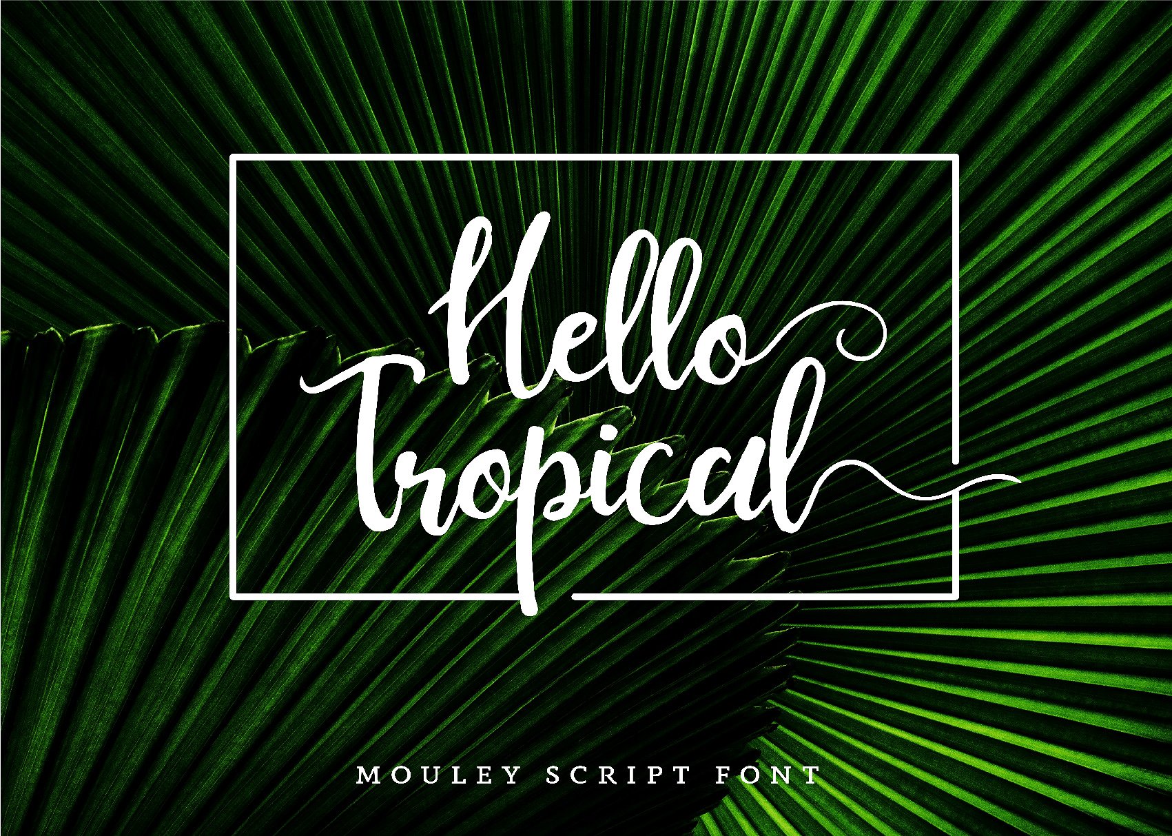 Mouley Script Font