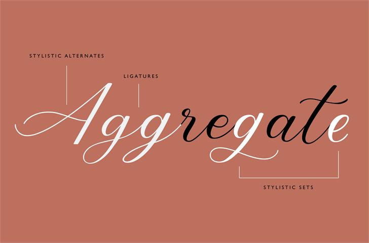 Abundant Script Font