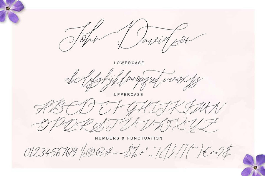 John Davidson Script Font