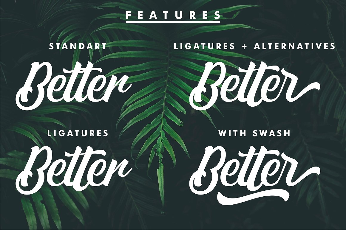 Matane Script Font