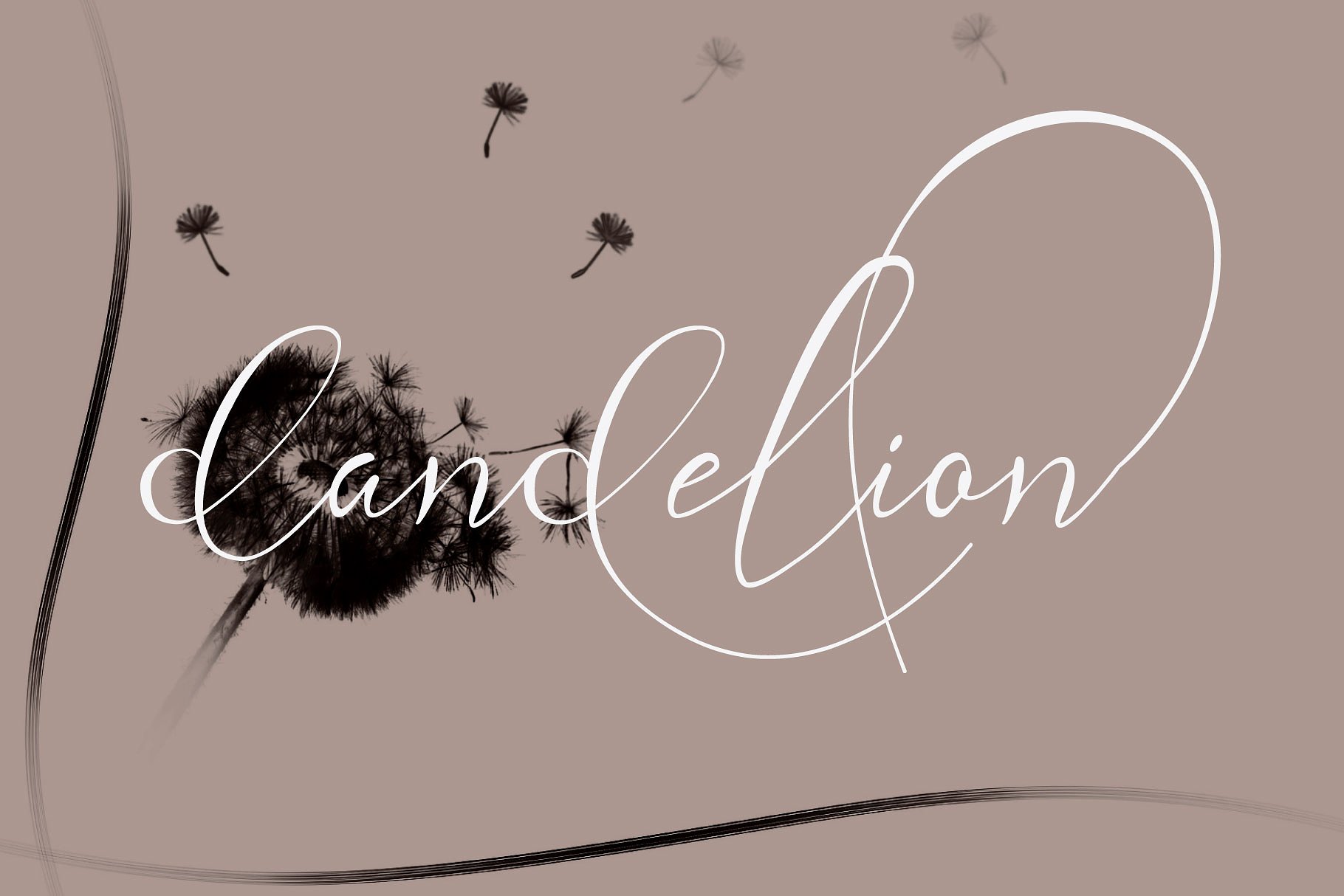 Andora Ardelion Script Font