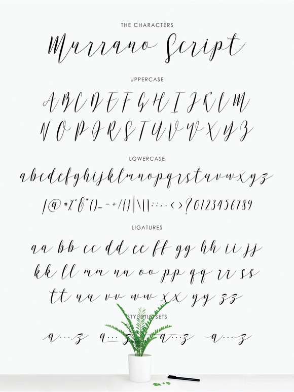 Murrano Script Font