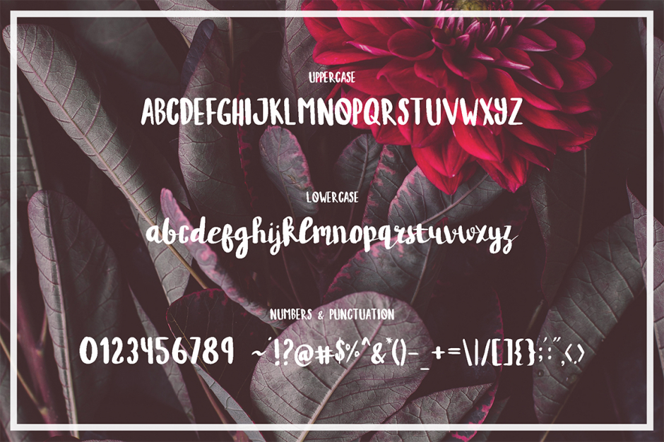 Syakina Brush Font